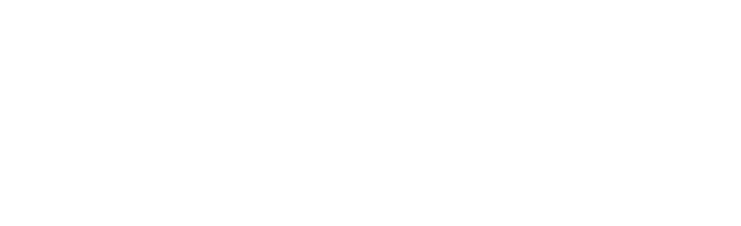 Flowtech Logo (White)