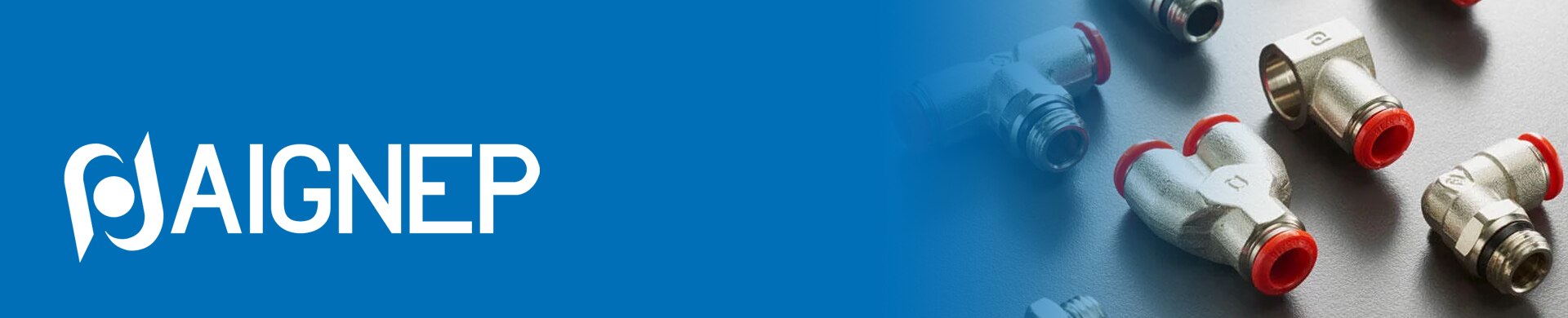 Brands Aignep header 